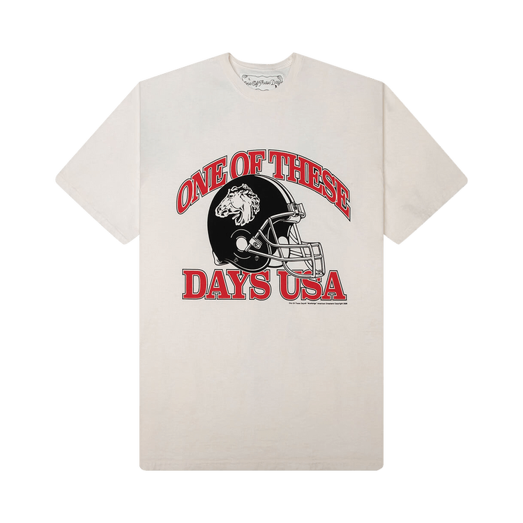 One Of These Days USA T-Shirt 'Bone'