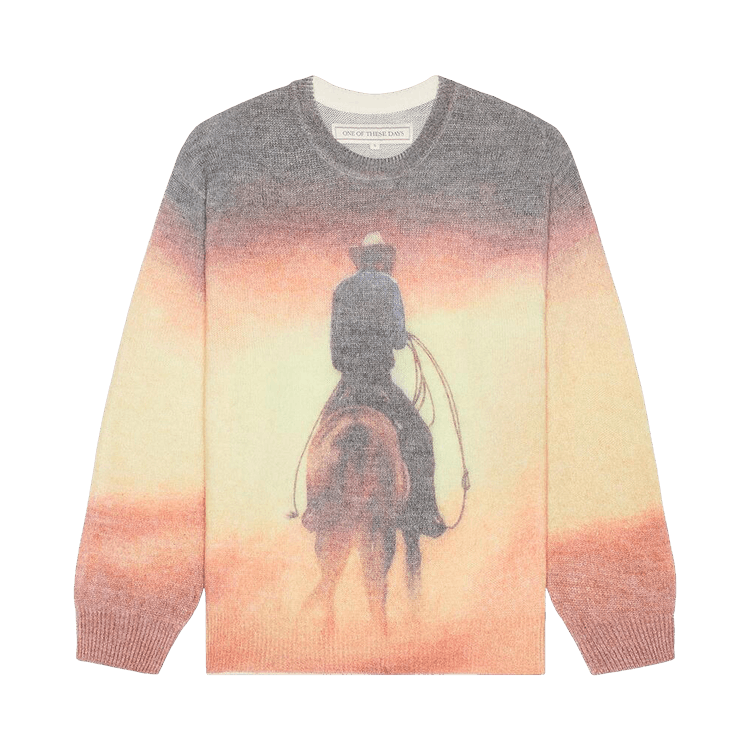 One Of These Days But That Was A Dream Knit Sweater 'Multicolor'
