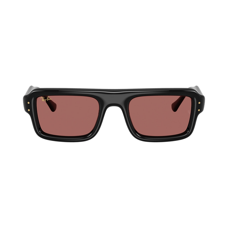 Ray-Ban x A$AP Rocky Flacko Puffer 'Black/Violet'