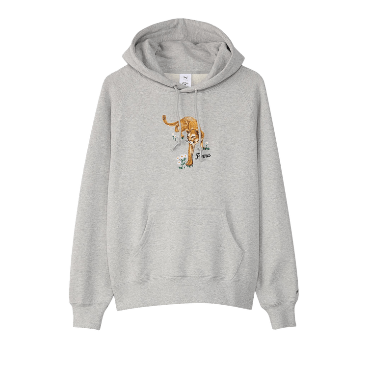 Puma x Noah Graphic Hoodie 'Grey'