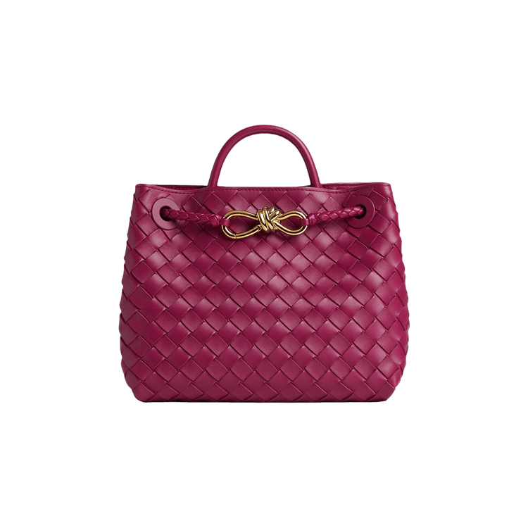 Bottega Veneta Small Andiamo 'Cinnabar'