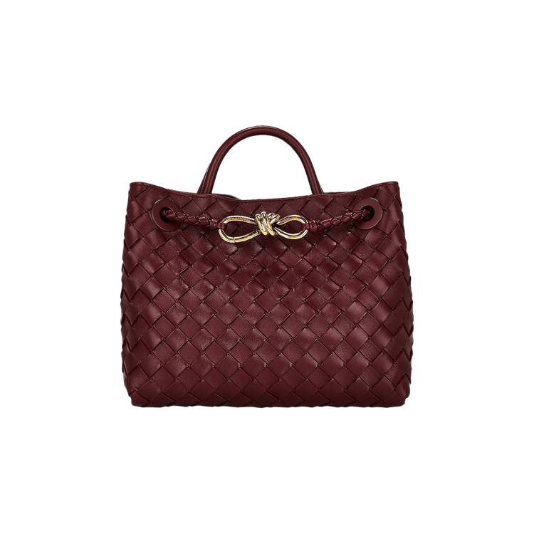 Bottega Veneta Small Andiamo Bag 'Barolo'