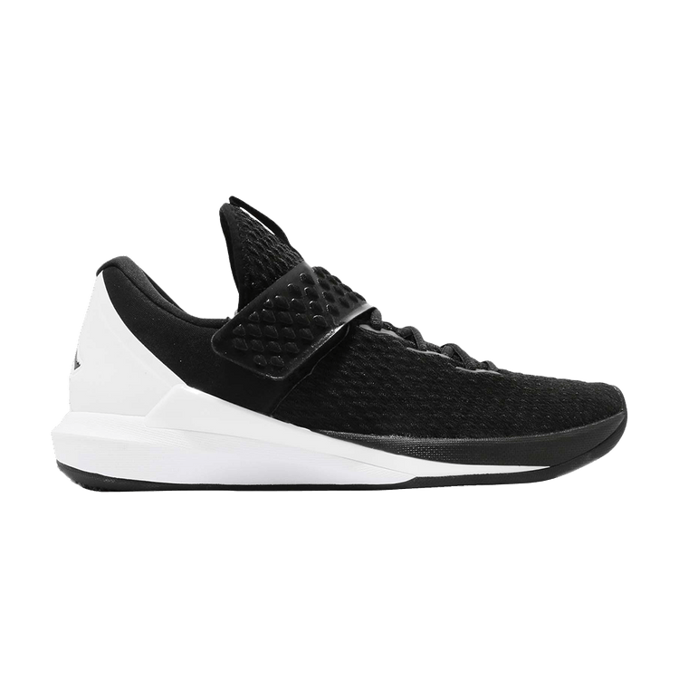 Air Jordan Trainer 3