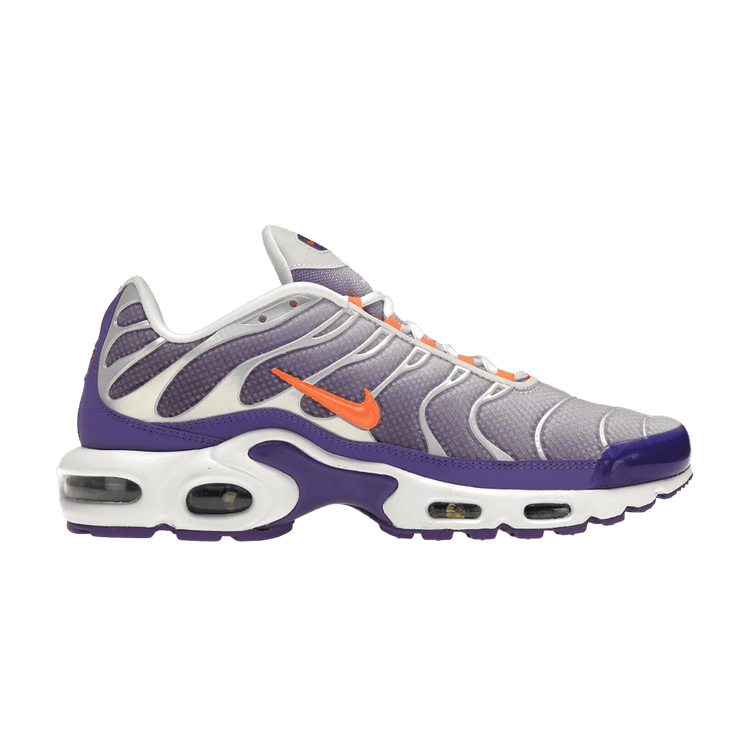 Nike Air Max Plus 'Color Flip'