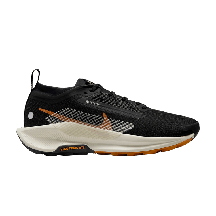 Nike Wmns Pegasus Trail 5 GORE-TEX 'Black Monarch'