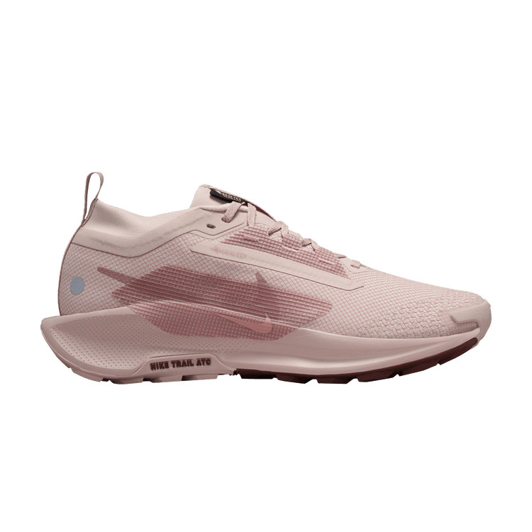 Nike Wmns Pegasus Trail 5 GORE-TEX 'Pink Oxford'