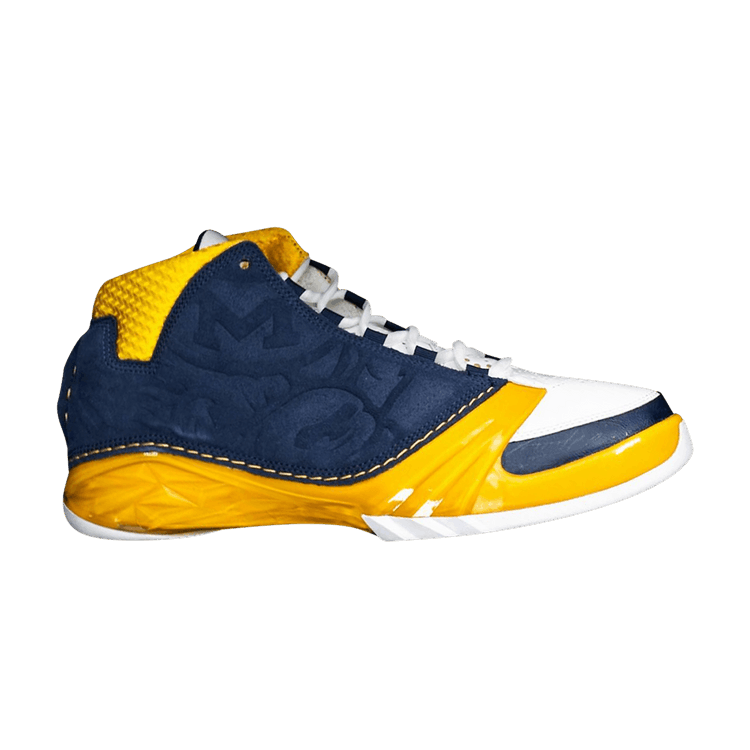 Air Jordan 23 Retro Promo 'Michigan Wolverines' PE
