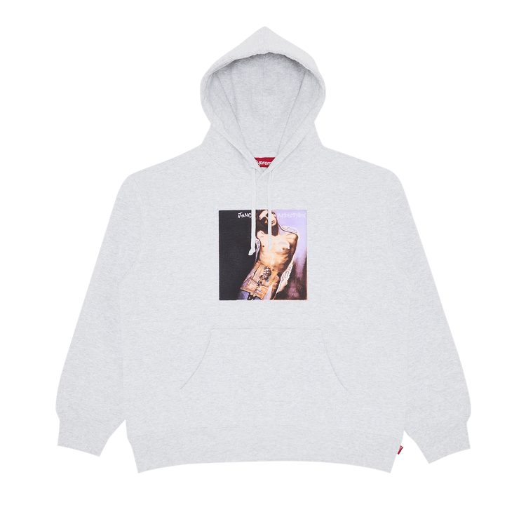 Supreme x Jane's Addiction Hooded Sweatshirt 'Ash Grey'