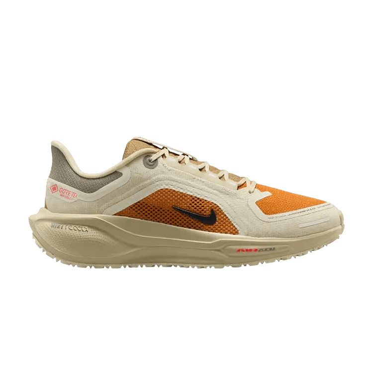 Nike Pegasus 41 GORE-TEX 'Running Poets'