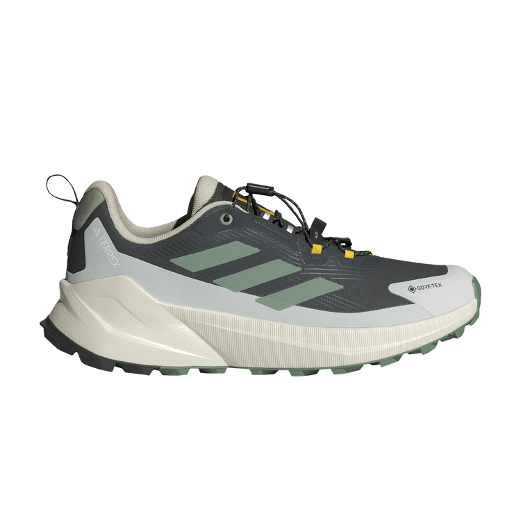 National Geographic x adidas Terrex Trailmaker 2.0 GORE-TEX 'Carbon Silver Green'