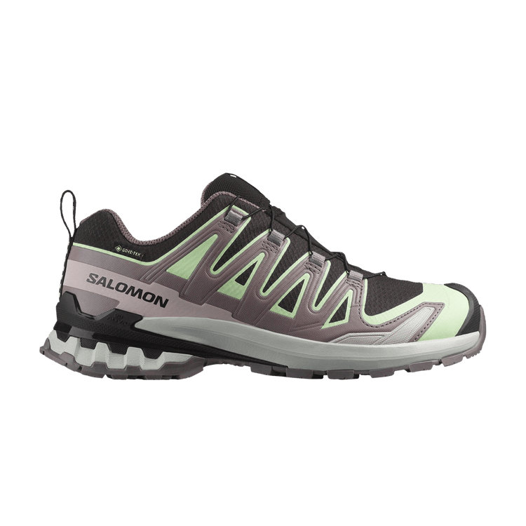 Salomon Wmns XA Pro 3D V9 GORE-TEX 'Black Grey Violet'