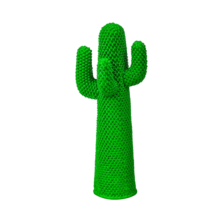 Guframini Cactus