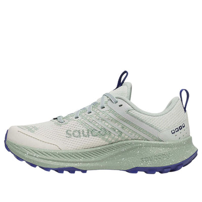 (WMNS) Saucony Ride TR2 GTX 'Quartz Mist'