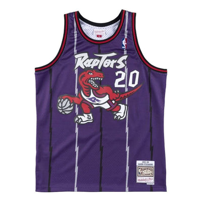 Mitchell & Ness x NBA Toronto Raptors 1995-96 Road Swingman Jersey 'Damon Stoudamire 20'