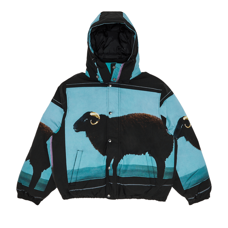 Supreme x Damien Hirst Down Puffer Jacket 'Black'