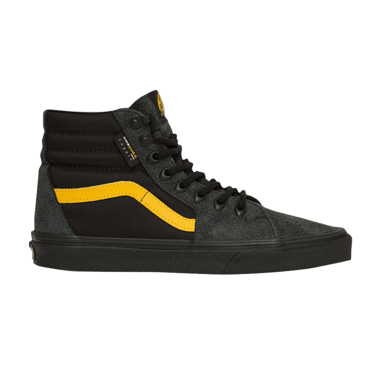 Cordura x adidas Sk8 Hi 'Black'