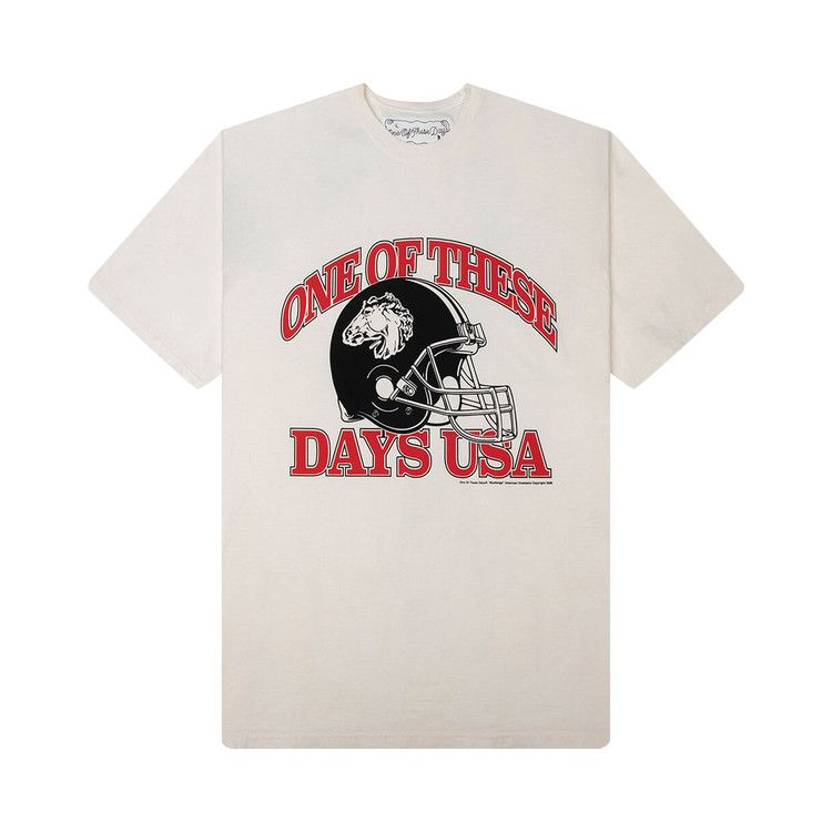One Of These Days USA T-Shirt 'Bone'