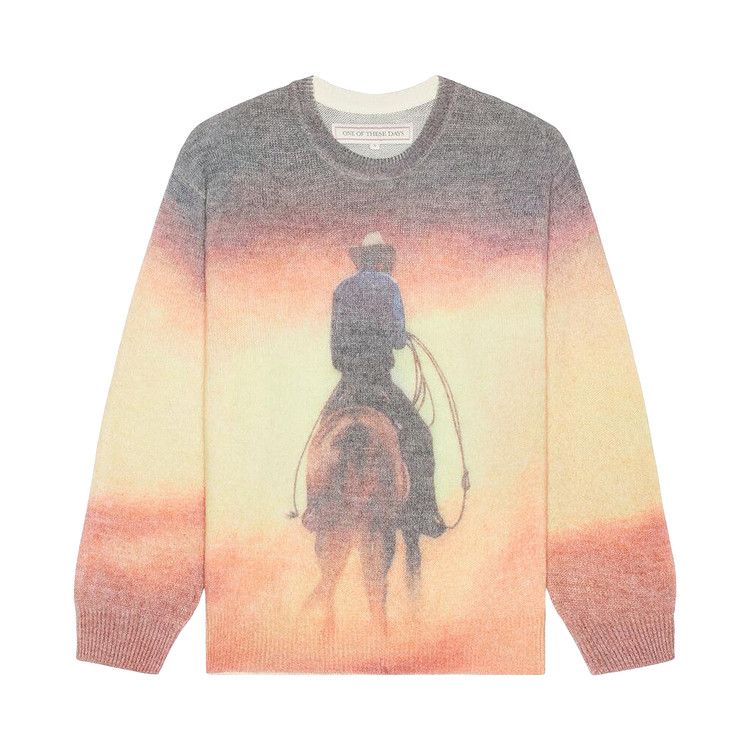 One Of These Days But That Was A Dream Knit Sweater 'Multicolor'
