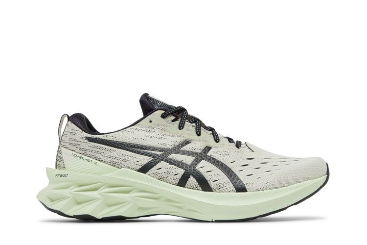 Asics Novablast 2 'Birch Black'