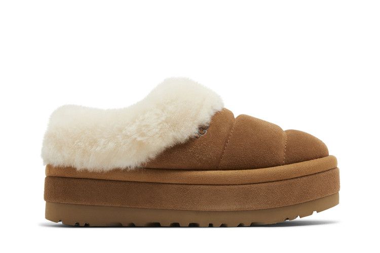 UGG Wmns Tazzlita Slipper 'Chestnut'