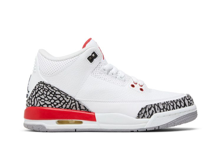 Sneaker Politics x Air Jordan 3 Retro GS 'Hall of Fame'