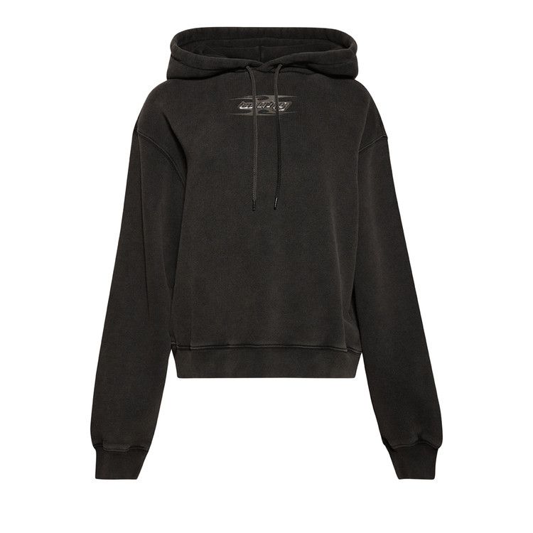 Alexander Wang Hoodie W/ Blade Logo 'Washed Cedar'