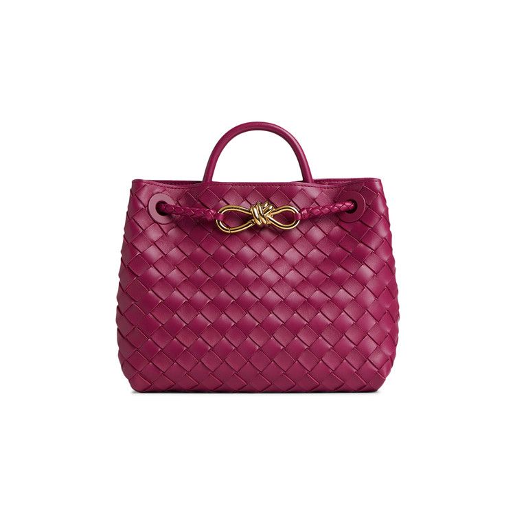 Bottega Veneta Small Andiamo 'Cinnabar'