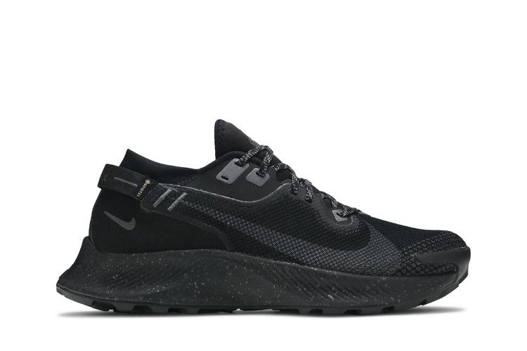 Nike Pegasus Trail 2 GTX 'Black Metallic Dark Grey'