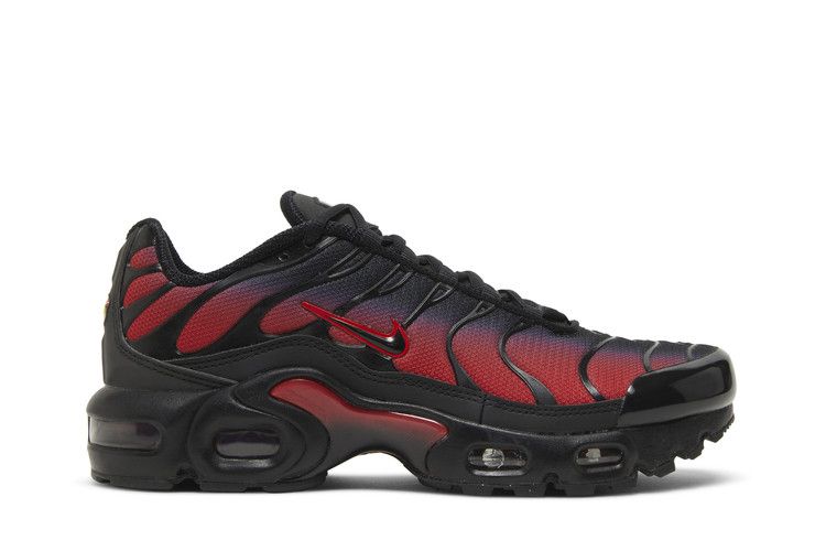 Nike Air Max Plus GS 'Bred Gradient'