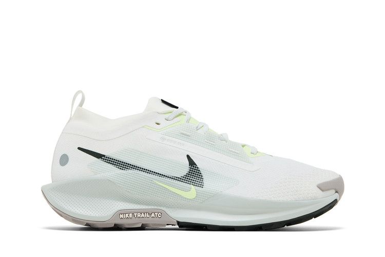 Nike Pegasus Trail 5 GORE-TEX 'Light Silver Sequoia'