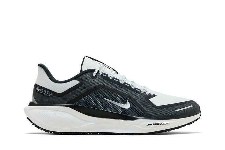 Nike Air Zoom Pegasus 41 GORE-TEX 'Iron Grey Summit White'