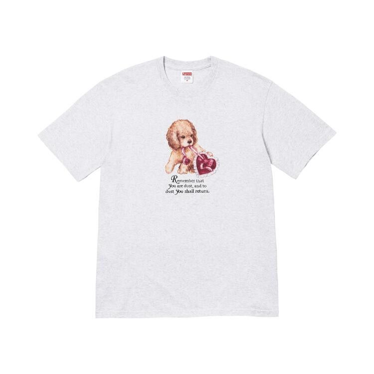 Supreme Dust Tee 'Ash Grey'