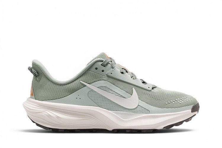 Nike ACG Pegasus Trail GS 'Jade Horizon'