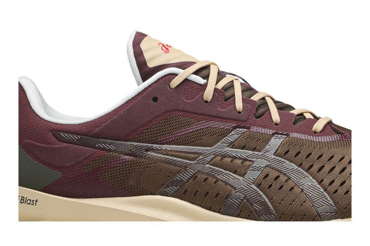 Asics Novablast 'Brown Burgundy'