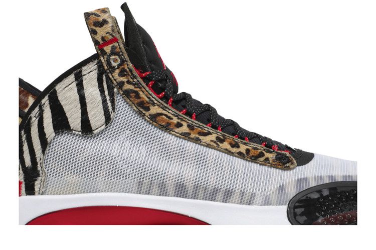 Jayson Tatum x Air Jordan 34 'Welcome To The Zoo'