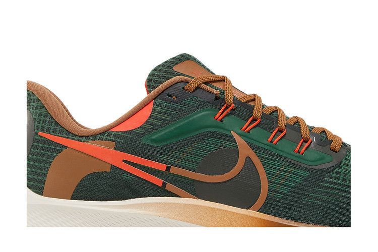 Hola Lou x Nike Air Zoom Pegasus 39 'A.I.R.'