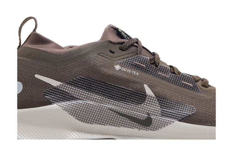 Nike Pegasus Trail 5 GORE-TEX 'Ironstone Velvet Brown'