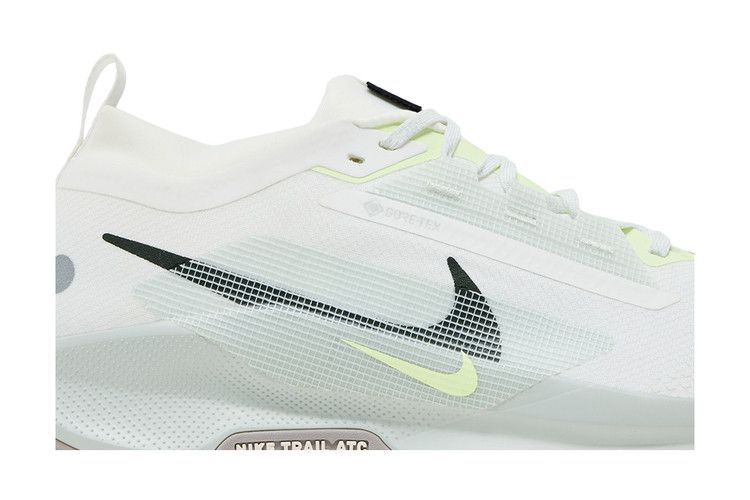 Nike Pegasus Trail 5 GORE-TEX 'Light Silver Sequoia'