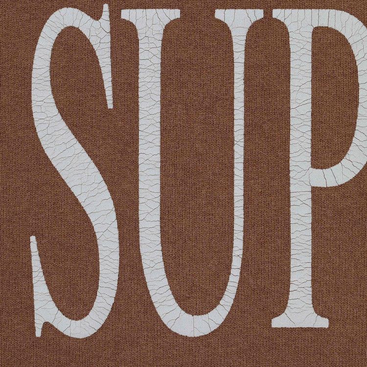 Supreme Capital Hooded Sweatshirt 'Brown'