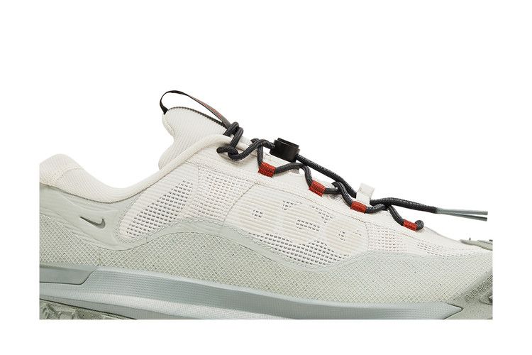 Nike ACG Mountain Fly 2 Low GORE-TEX 'Phantom Light Silver'