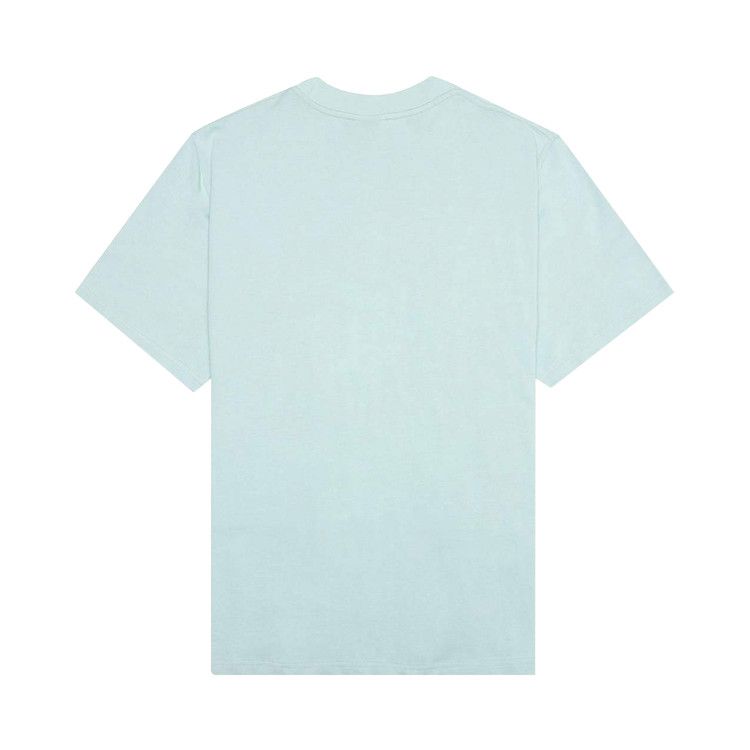 Pleasures Shade Heavyweight T-Shirt 'Mint'
