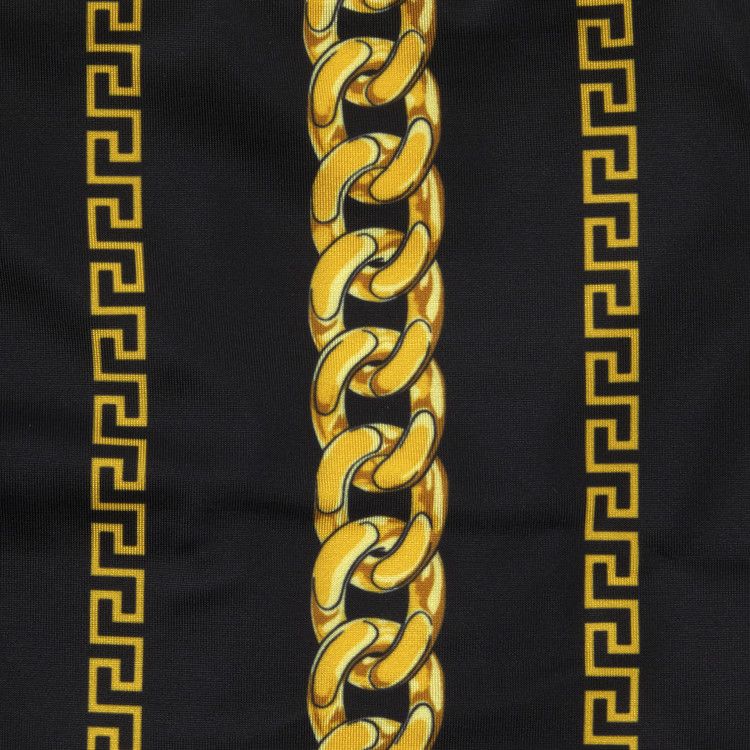 Versace Chain Pinstripe Bikini Bottoms 'Black/Gold'