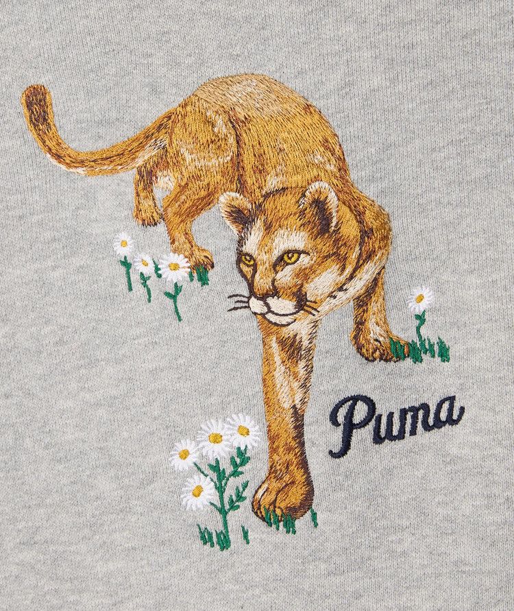 Puma x Noah Graphic Hoodie 'Grey'