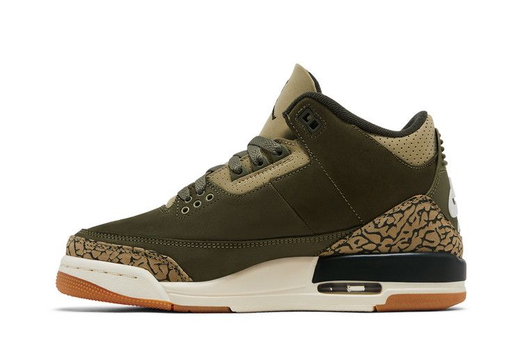 Air Jordan 3 Retro GS 'Family Affair'