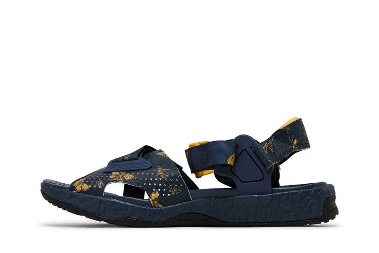 Nike ACG Air Deschutz+ SE 'Thunder Blue'