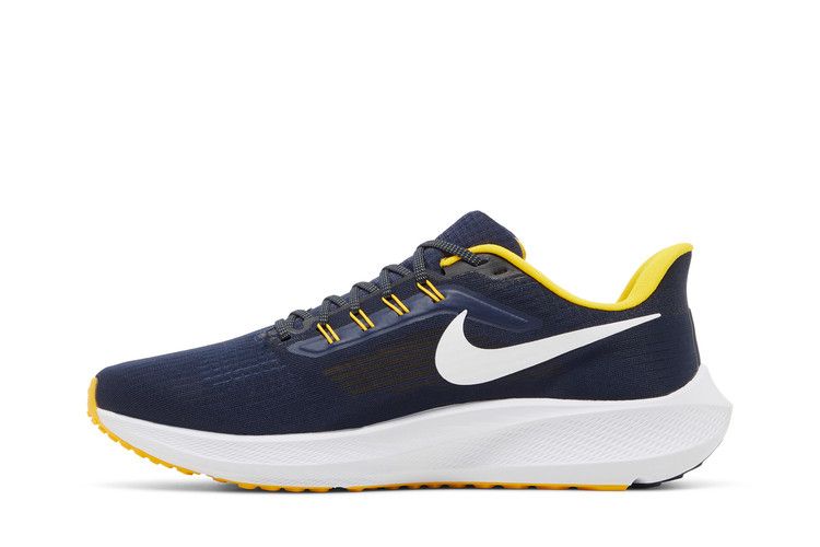 Nike Air Zoom Pegasus 39 'Michigan'