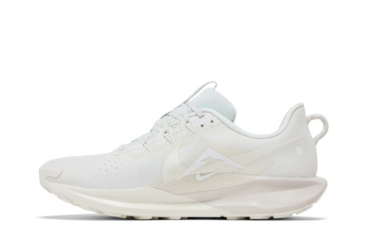 Nike Pegasus Trail 5 'Summit White Sail'