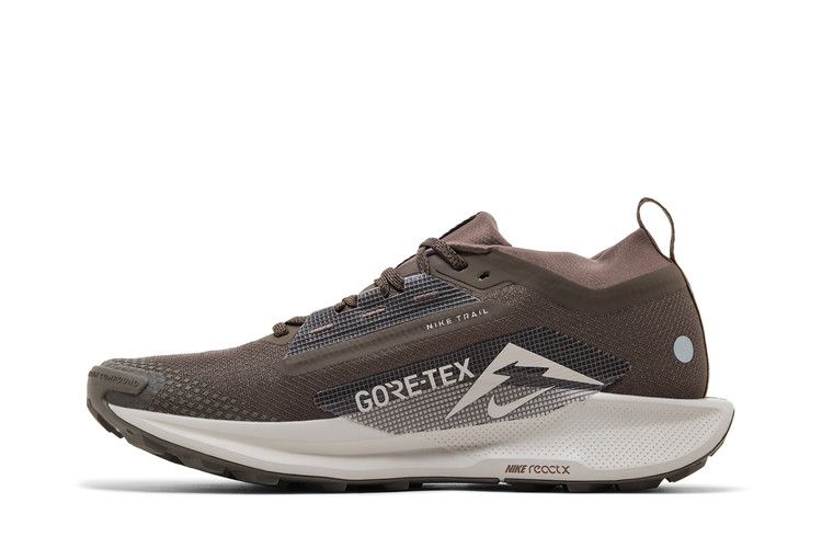 Nike Pegasus Trail 5 GORE-TEX 'Ironstone Velvet Brown'