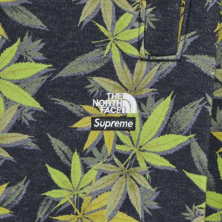 Supreme x The North Face Leaf Sweatpant 'Black'
