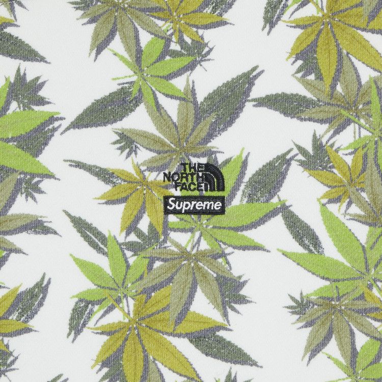 Supreme x The North Face Leaf Hooded Sweatshirt 'White'